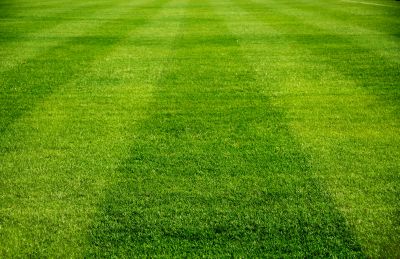 Lawn Grading