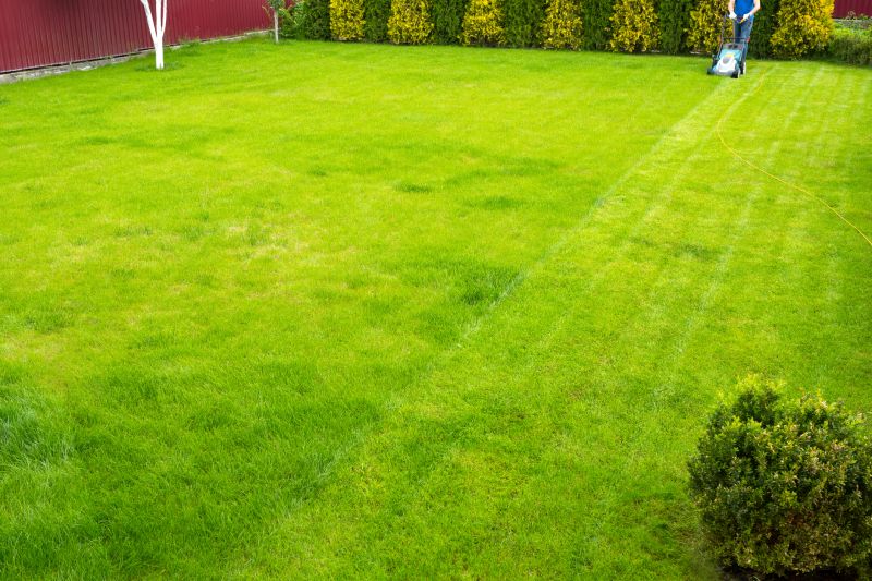 Lawn Grading