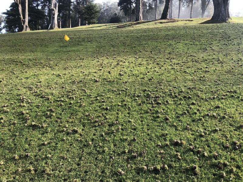 Lawn Grading Cost Guide — Cost of Lawn Grading